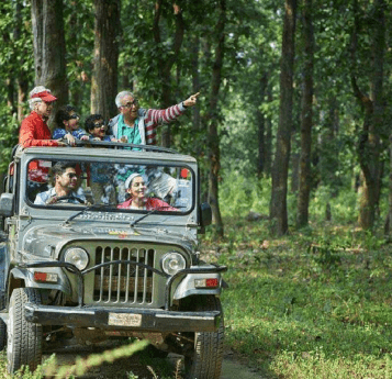Jungle Trekking & Safari in Resorts